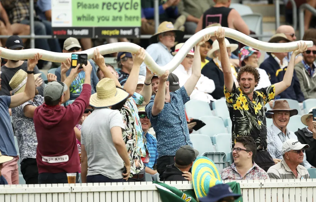 The “Snakes” Emerge: A Metaphor for the Chaos